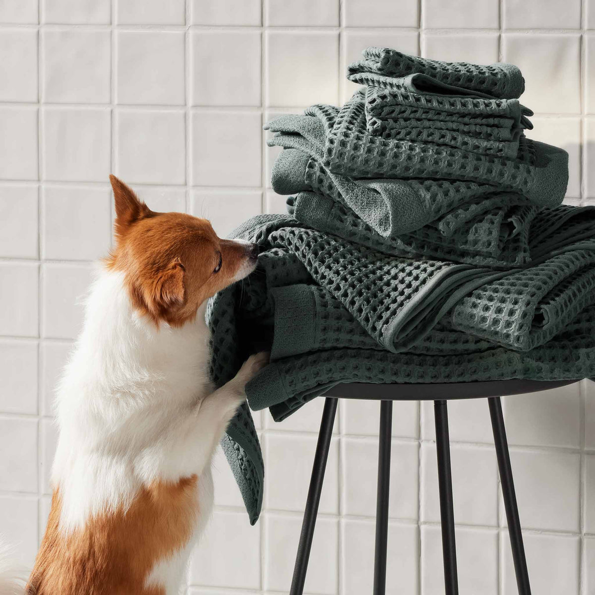 Dreamweave Waffle Hand Towels Set of 2
