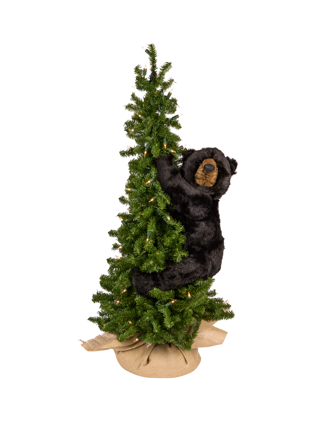 Pine Tree Black Bear