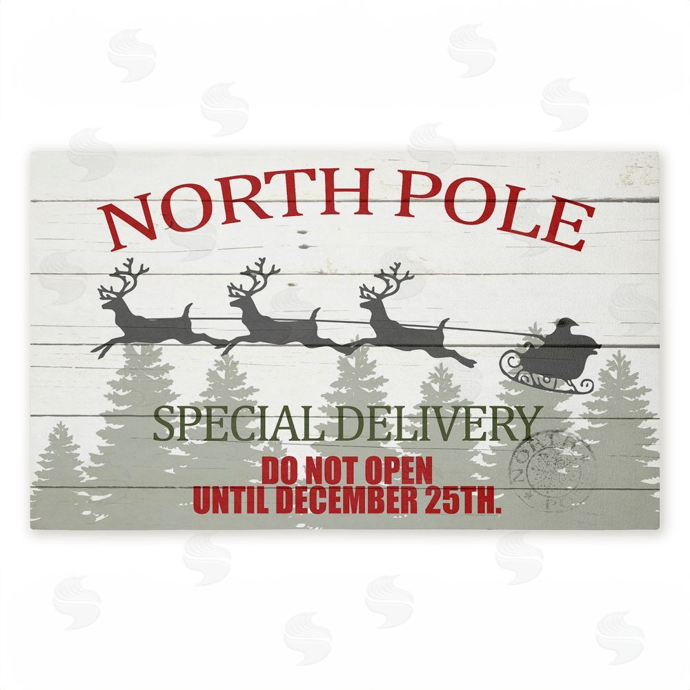 Kim Allen | Special Delivery Holiday Sleigh Non-Woven Door Mat