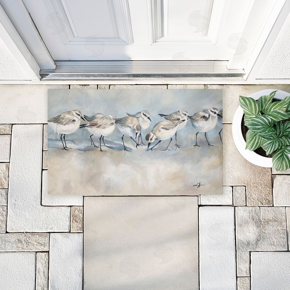 Ramona Murdock | Shore Birds In A Line Non-Woven Door Mat