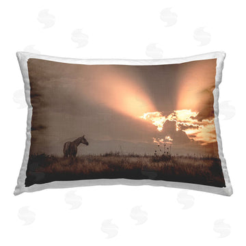 Nathan Larson | Faded Sunset with Horse