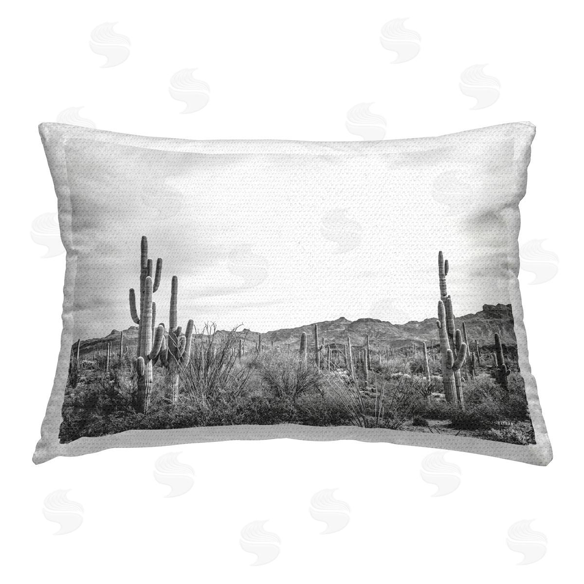 Nathan Larson | Sonoran Desert Wonderland