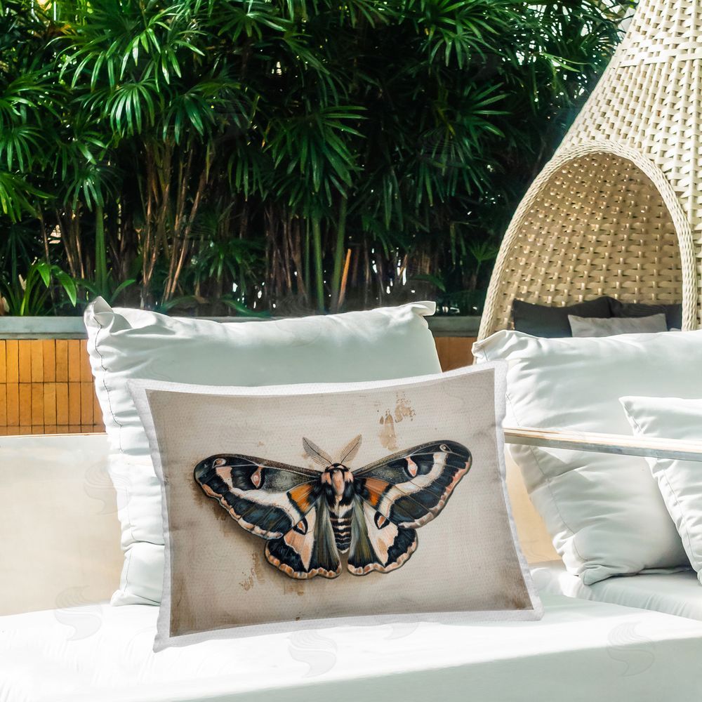 Petal Prints Design | Dark Winged Moth
