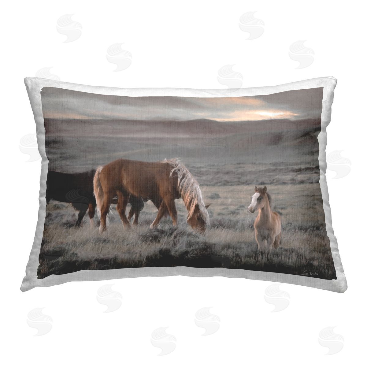 Lori Deiter | Country Horses in Valley