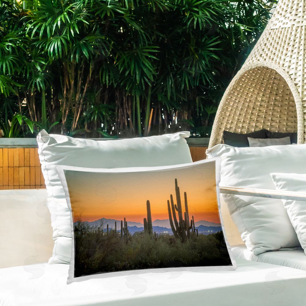 Marty Hulsebos | Looming Cacti Sunset