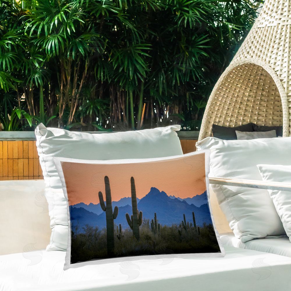 Marty Hulsebos | Contrasting Desert Sunset