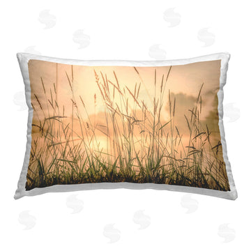 Marty Hulsebos | Grassy Country Reeds