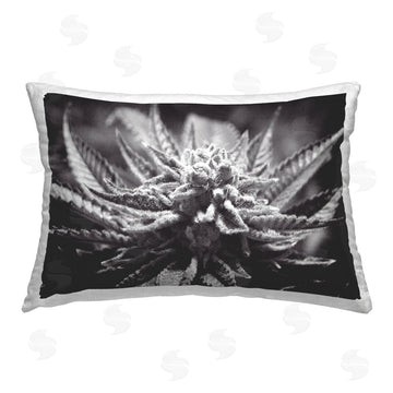 LIH | Monochrome Cannabis Flower