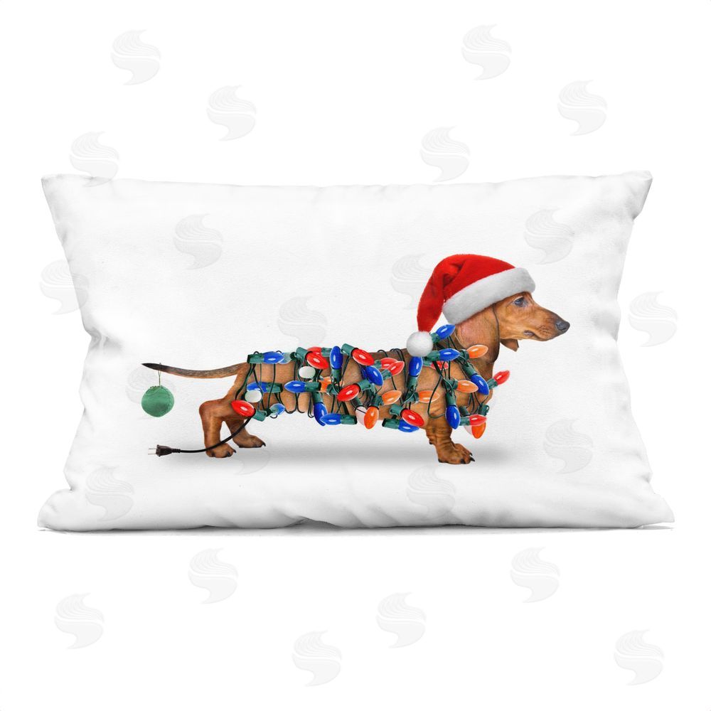 John Hovenstine | Christmas Lights Wrapped Dog