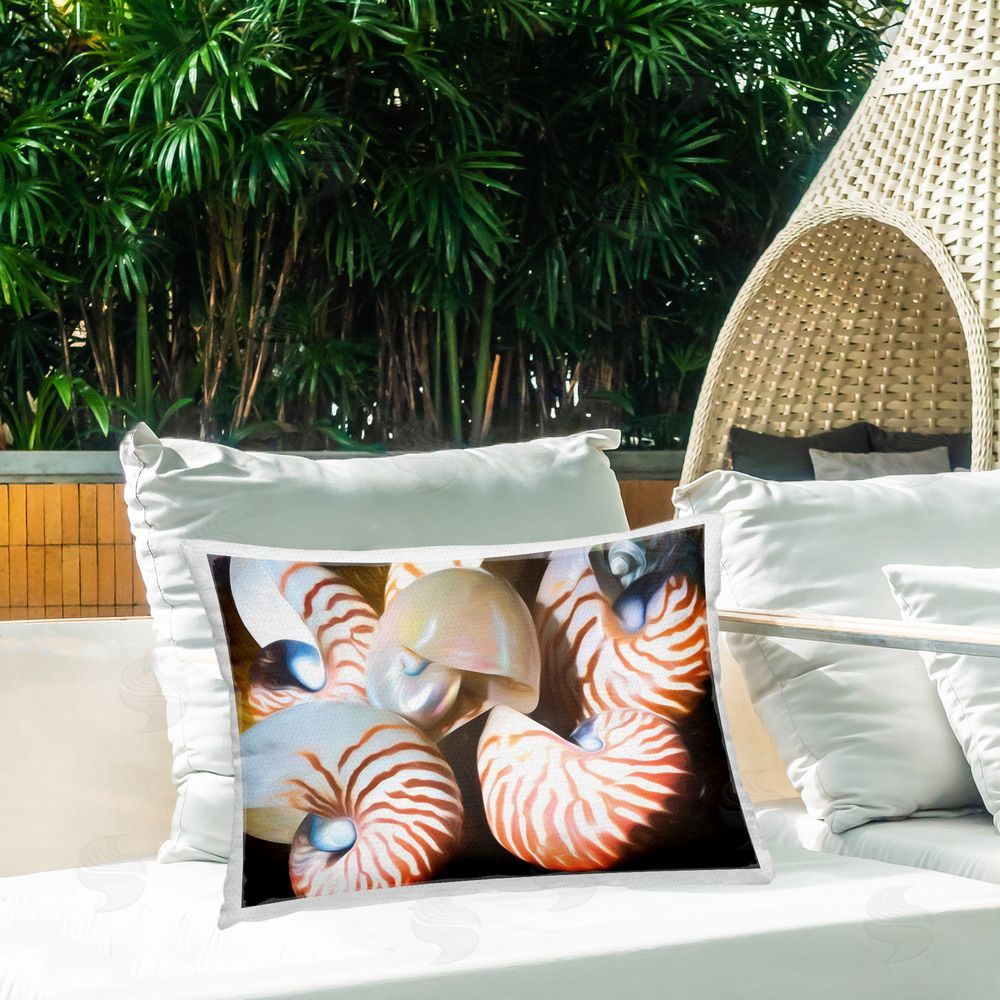 Graffi*tee Studios | Nautilus Shells Cluster