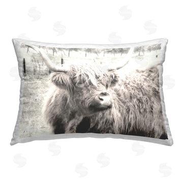 Graffi*tee Studios | Highland Cow Gazing Portrait