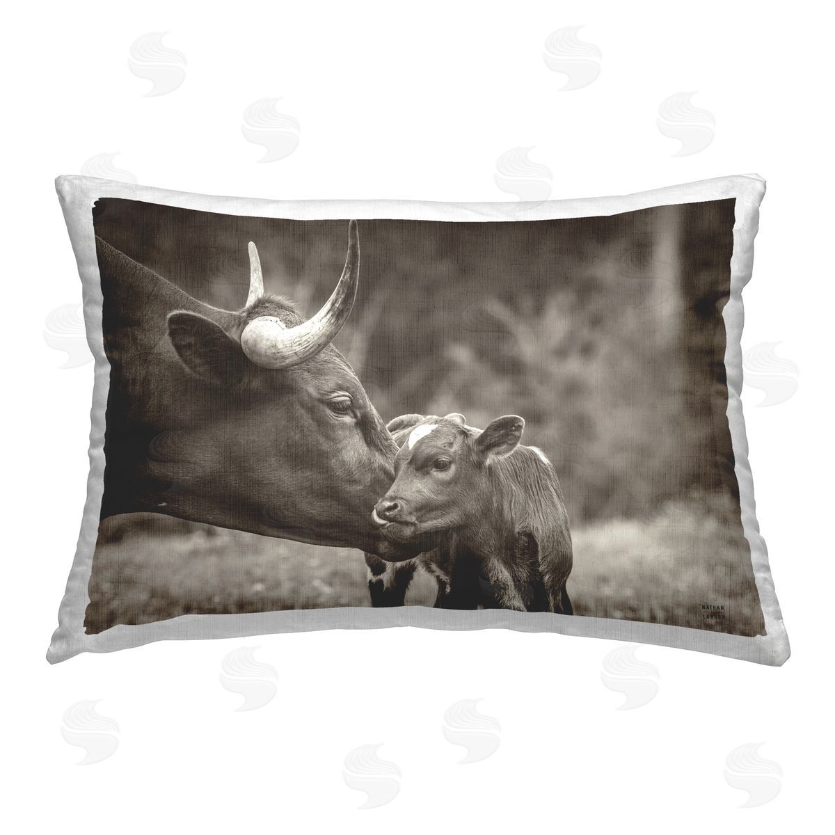 Nathan Larson | Longhorn Kiss Photography