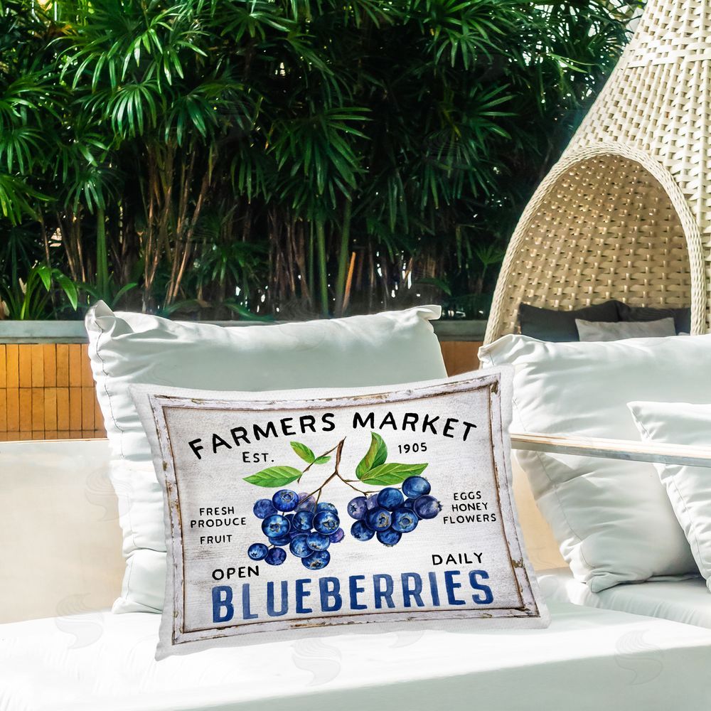 Creatif Belle | Farmers Market Bluberries